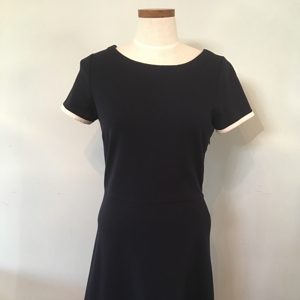 J Crew Navy and White Trim Fit &Flare Dress Size 6